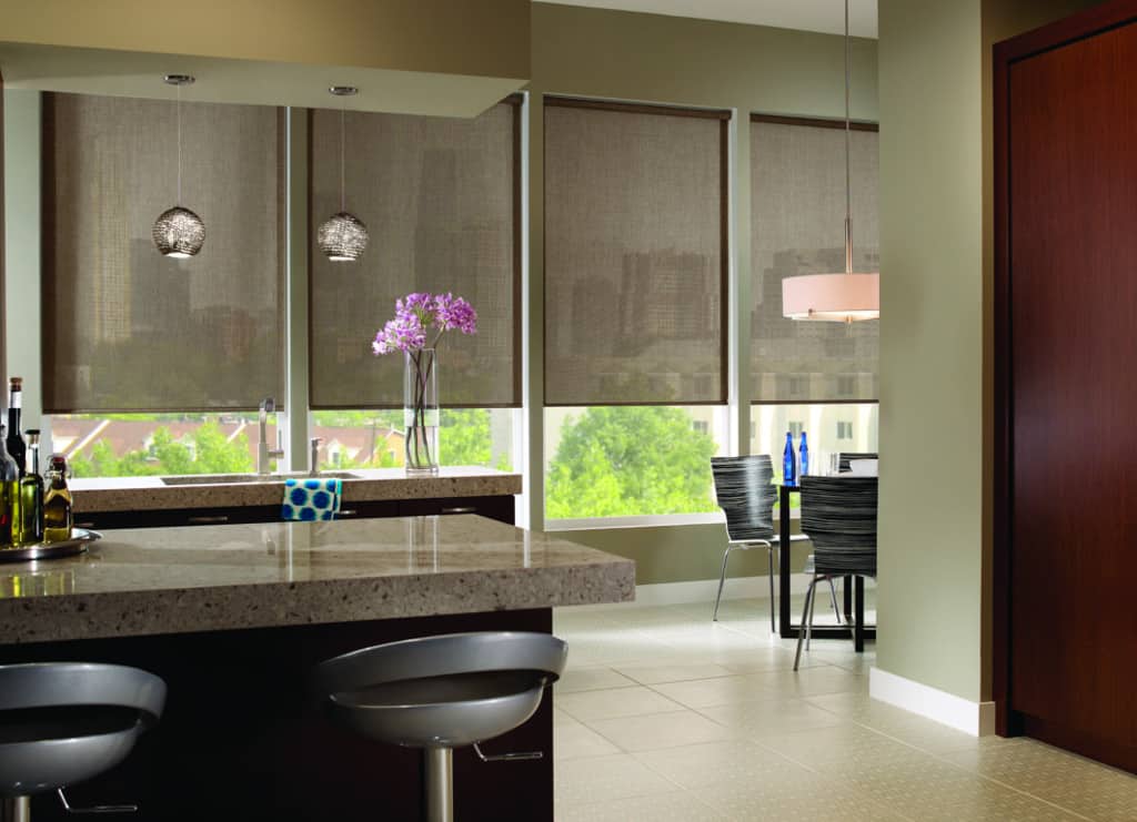 Sunscreen Roller Shades for Your Windows
